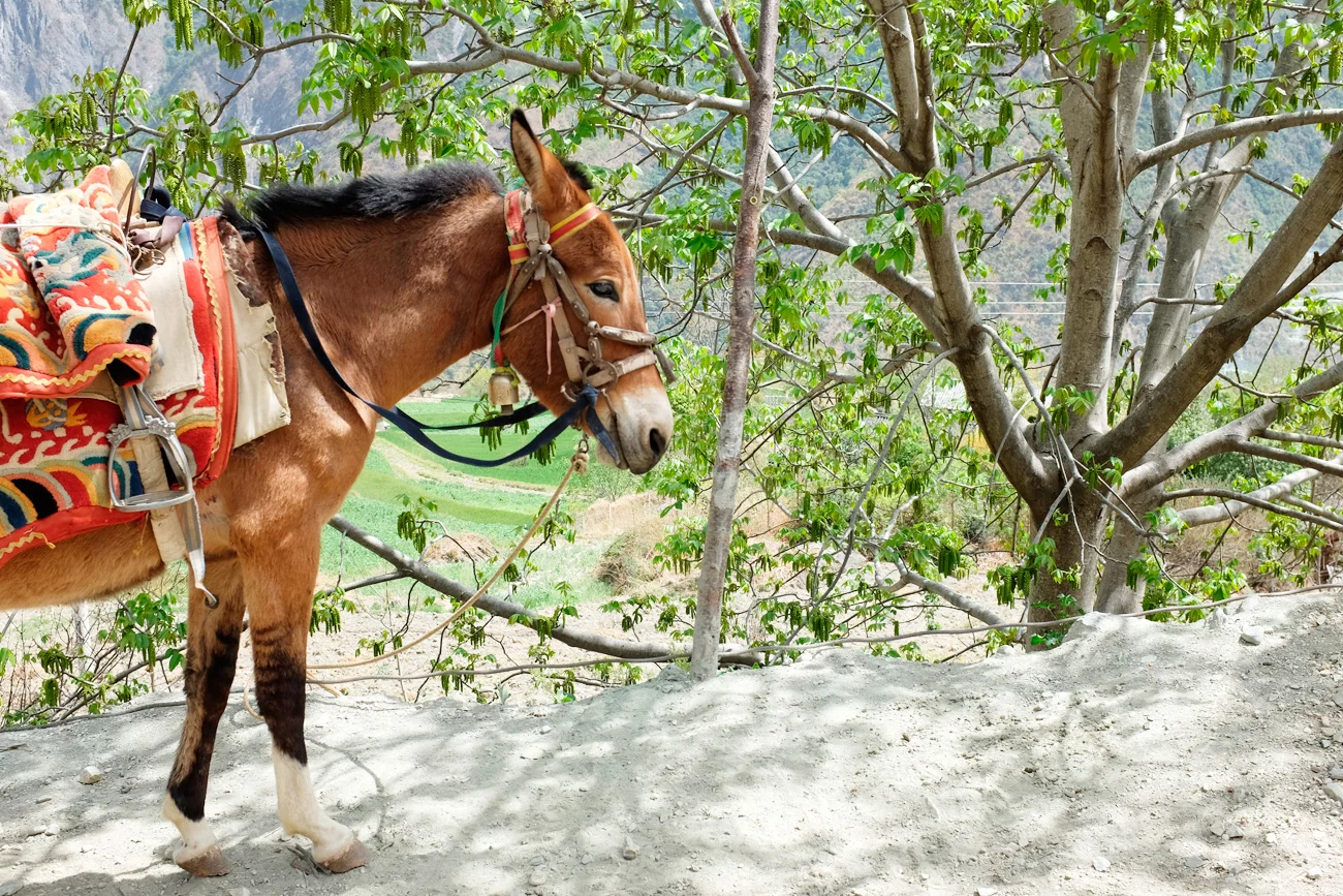 Itinerary of a 10 Days Trip in Yunnan (云南)