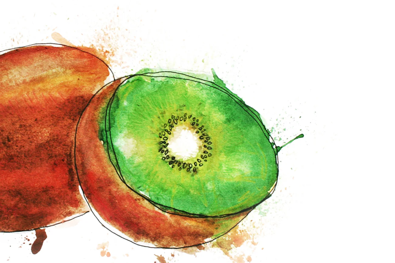 An Illustrated Journey: New Zealand's wanders