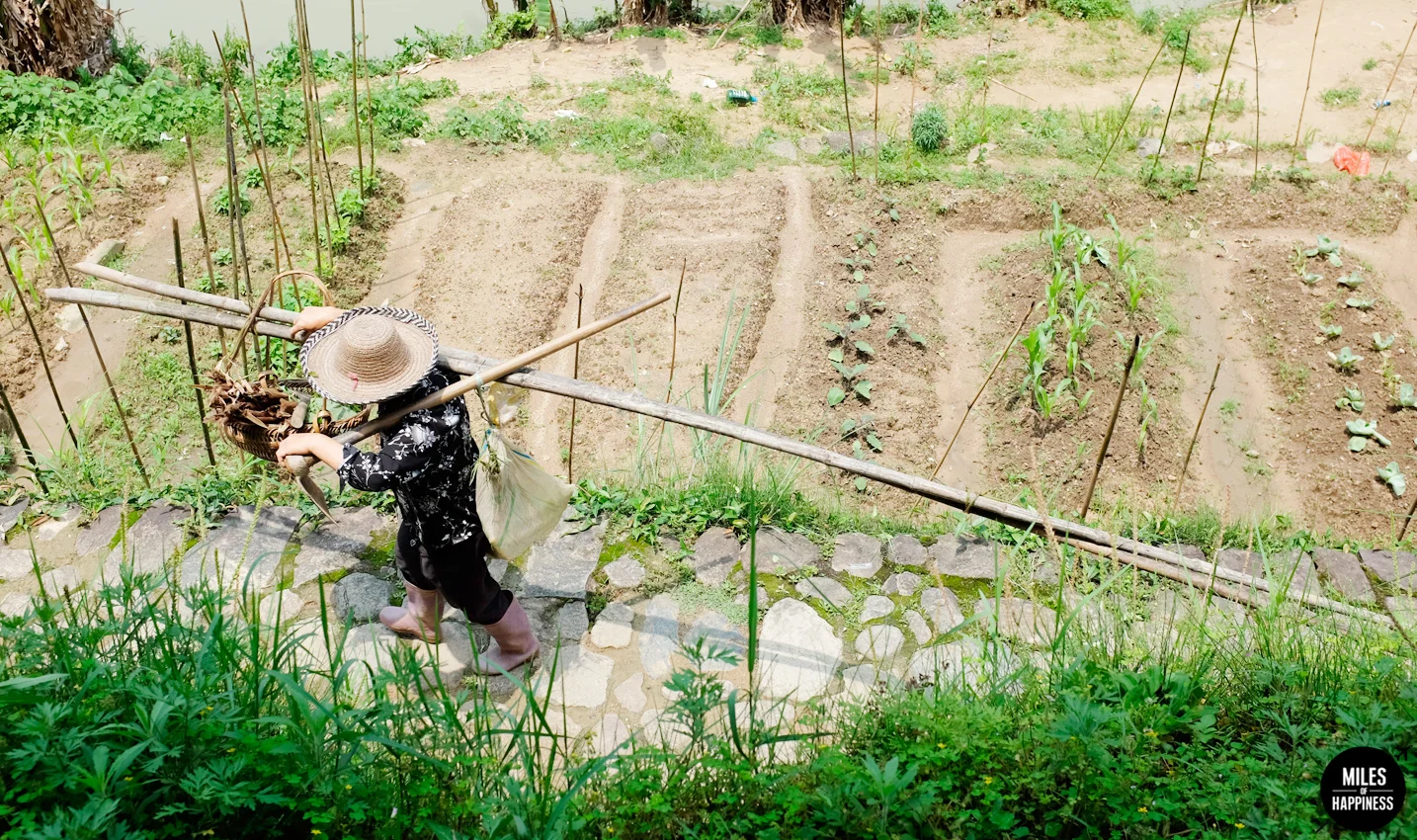 A Glimpse of Ancient China: Fujian Hakka Tulou
