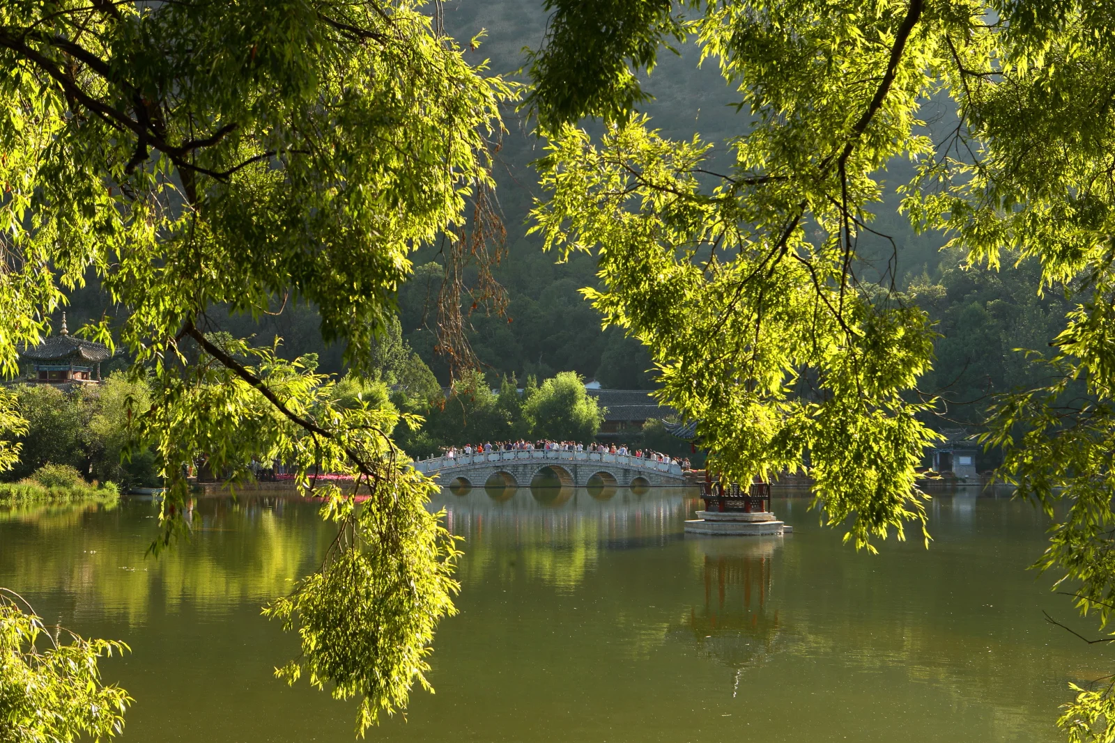 邻里环境Neighborhood environment-40.JPG