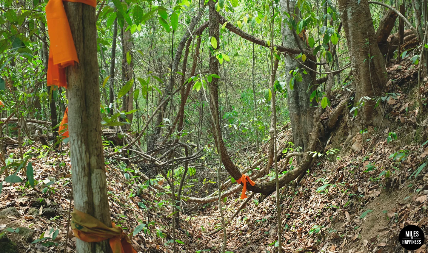 Wat-Pha-Lat-Jungle.jpg