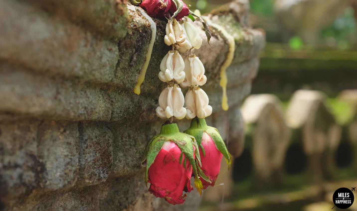 Wat-Pha-Lat-Flowers.jpg