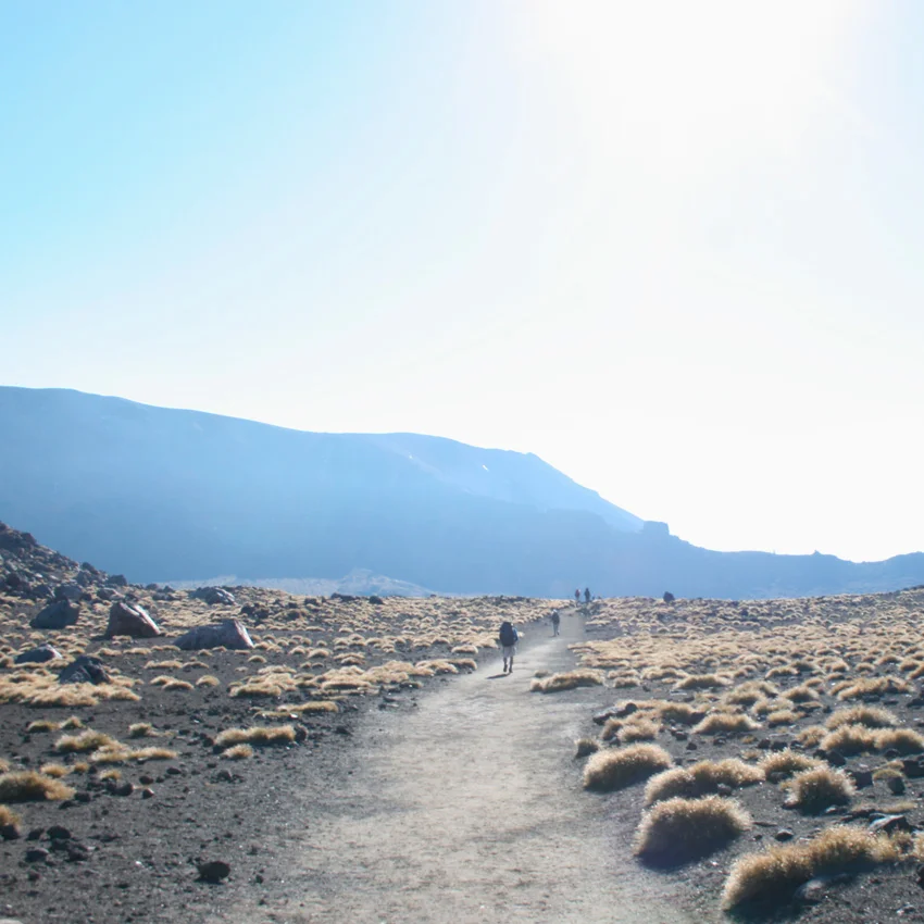 New Zealand Trekking: The Tongariro Alpine Crossing