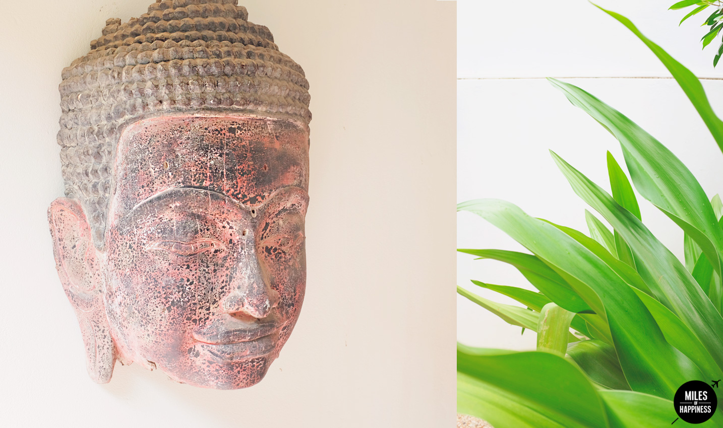 Maison 557: An intimate garden retreat in Siem Reap