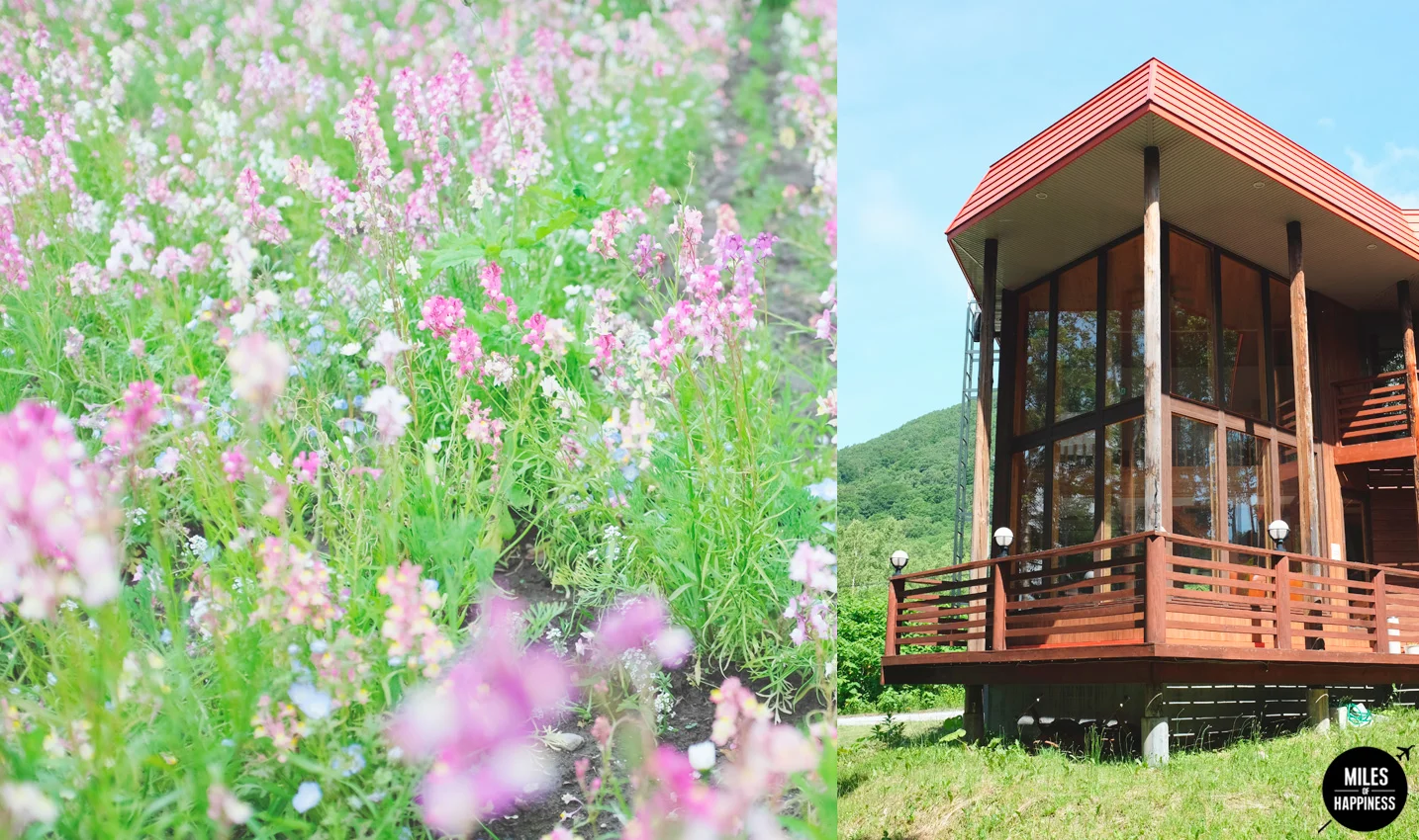 Summer Road Trip in Hokkaido