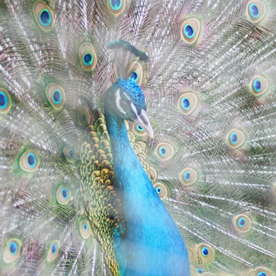 Itinerary of a Road Trip in Mauritius