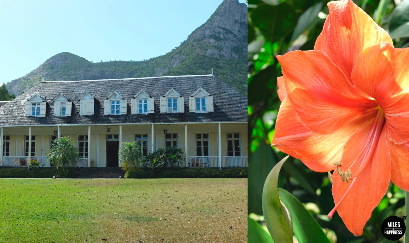 10 Reasons to love Mauritius : The Culture