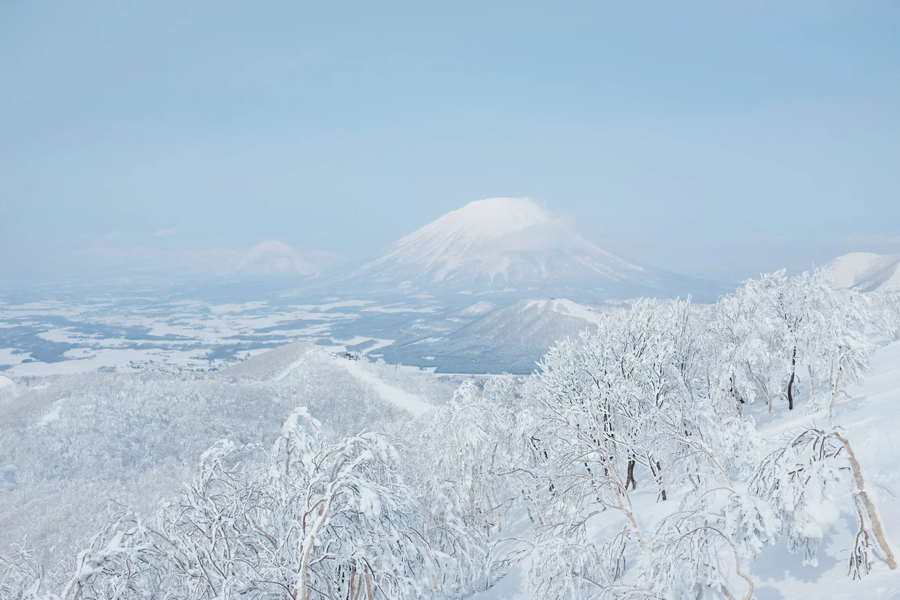Après-Ski in Niseko: 10 good addresses