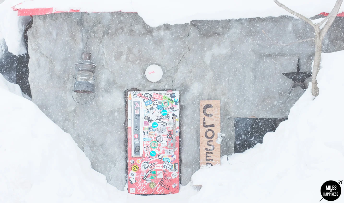 10 good addresses to discover in Niseko : the Fridge