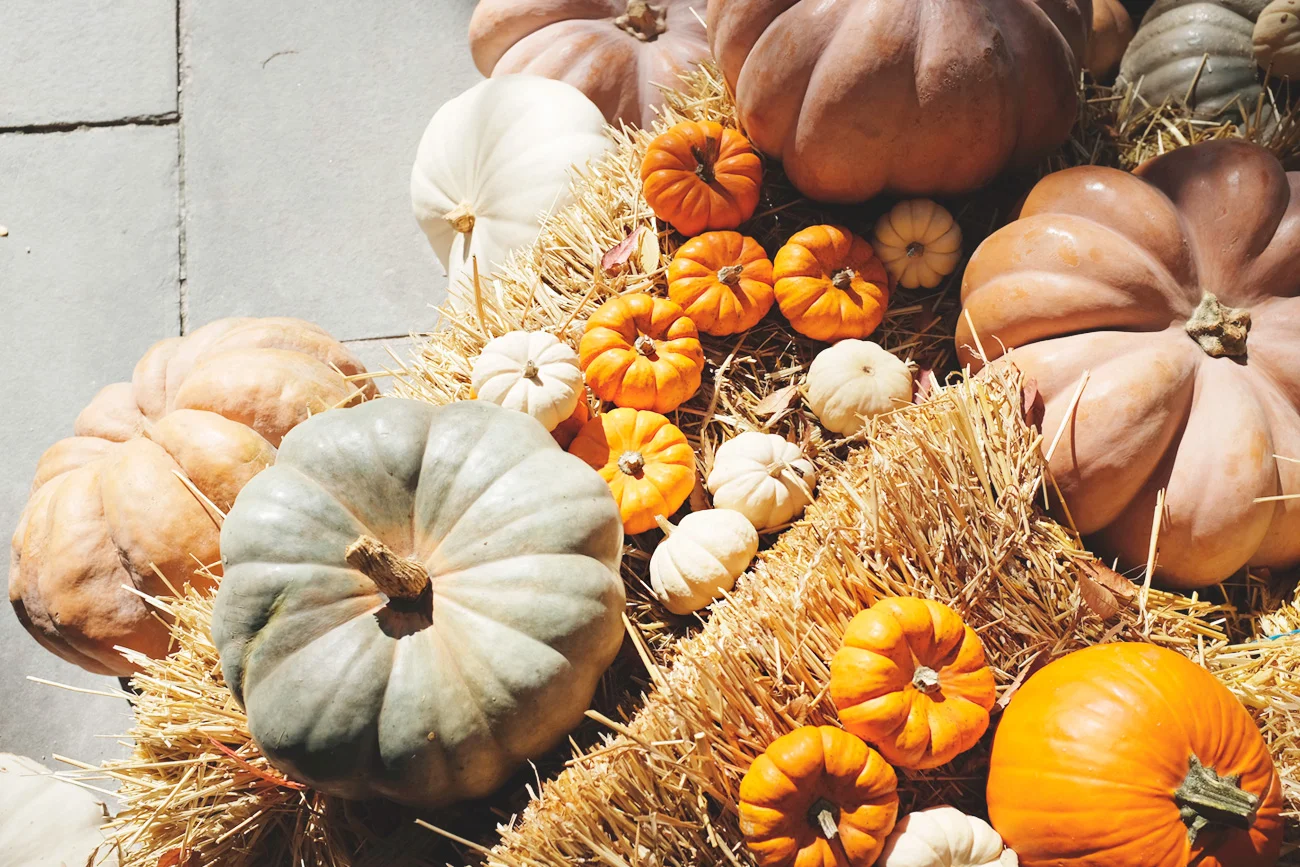 Halloween in New York: a party you’ll remember