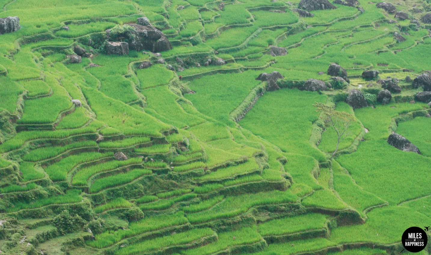 Exploring Tana Toraja