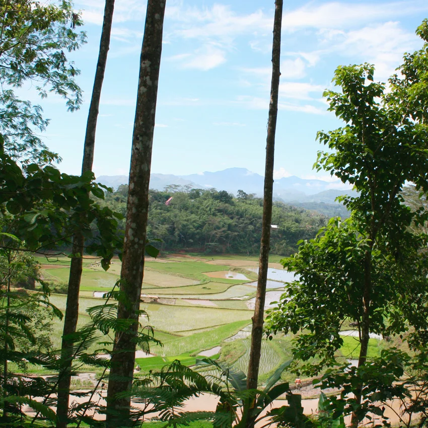 Exploring Tana Toraja