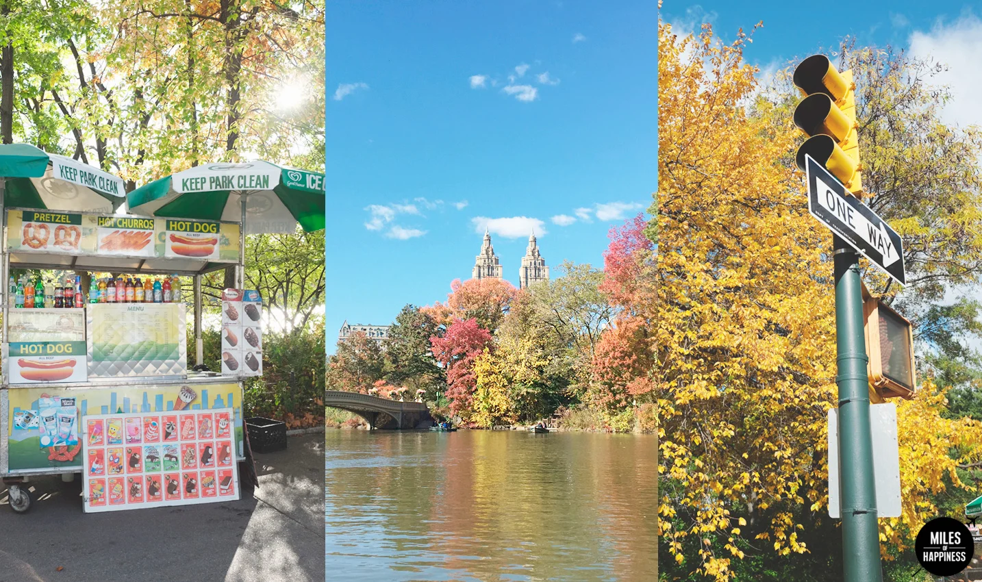 How to spend 7 days in New York