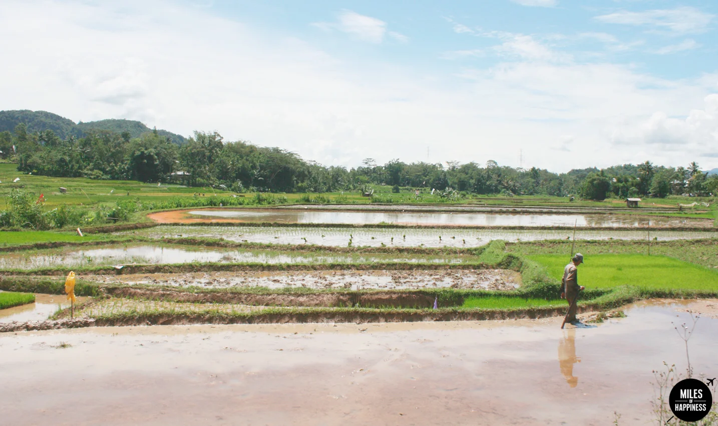Exploring Tana Toraja