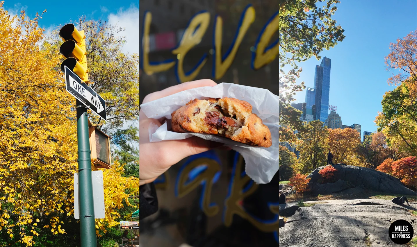 What to do in Central Park