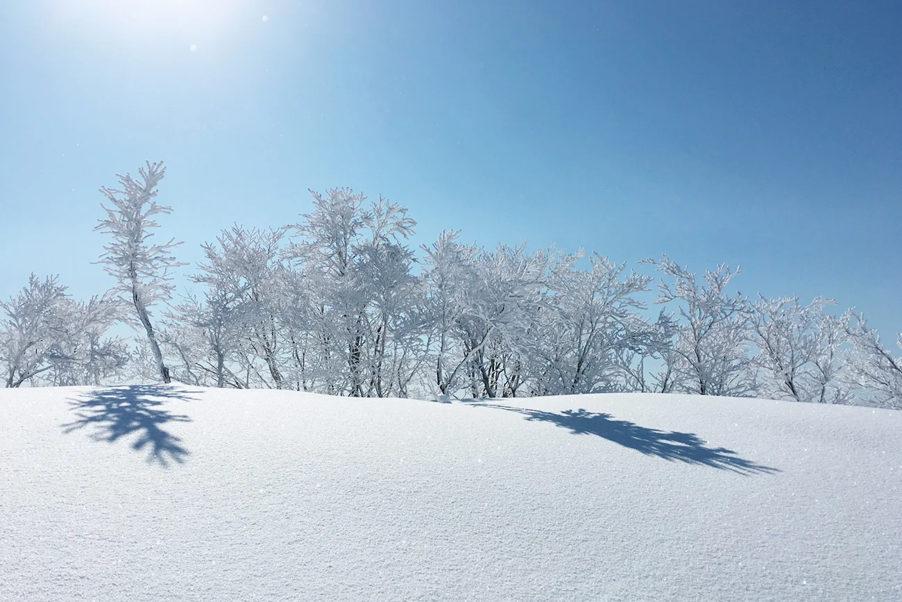 Skiing in Japan: 10 things that will make you pack your bags and go