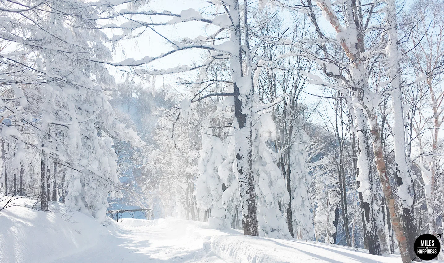 Itinerary of a ski trip in Honshu