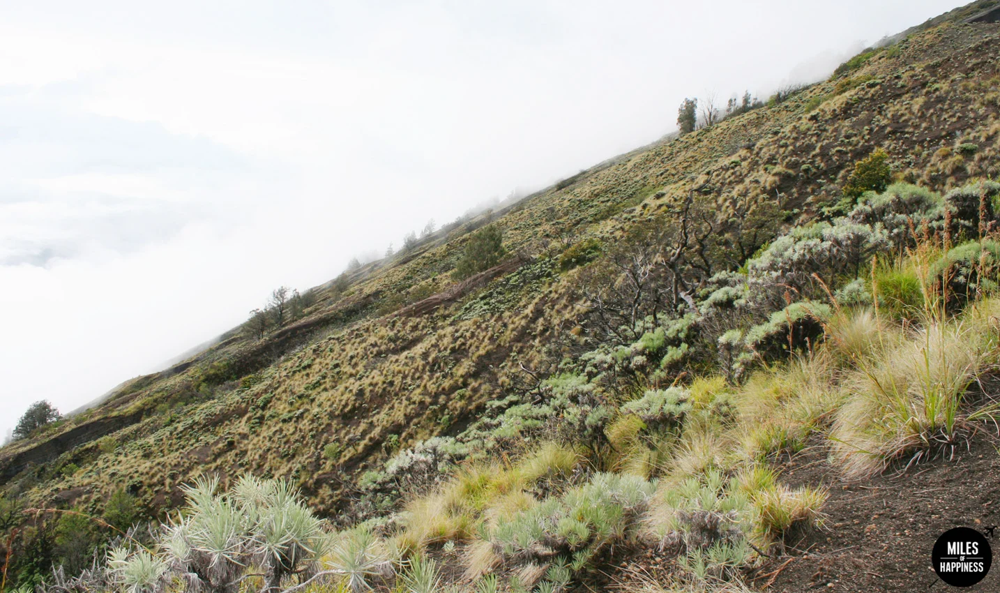 An epic volcano hike: trekking Mt Rinjani