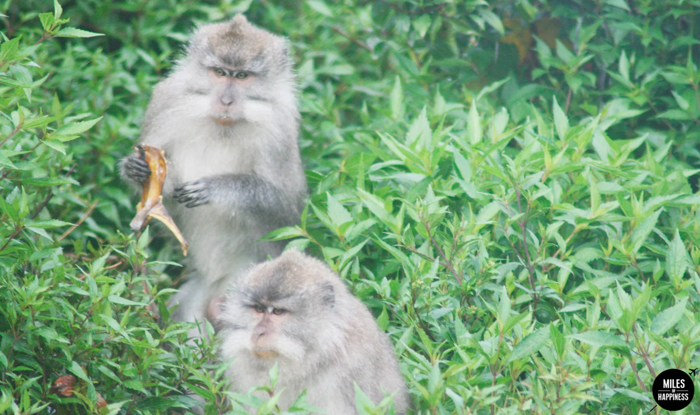 An epic volcano hike: trekking Mt Rinjani