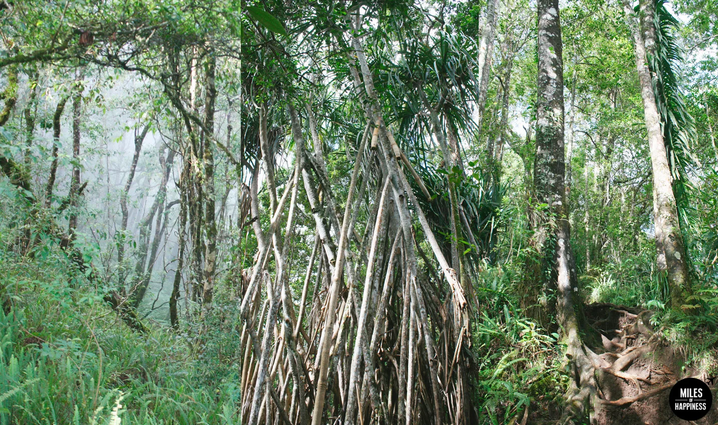 An epic volcano hike: trekking Mt Rinjani