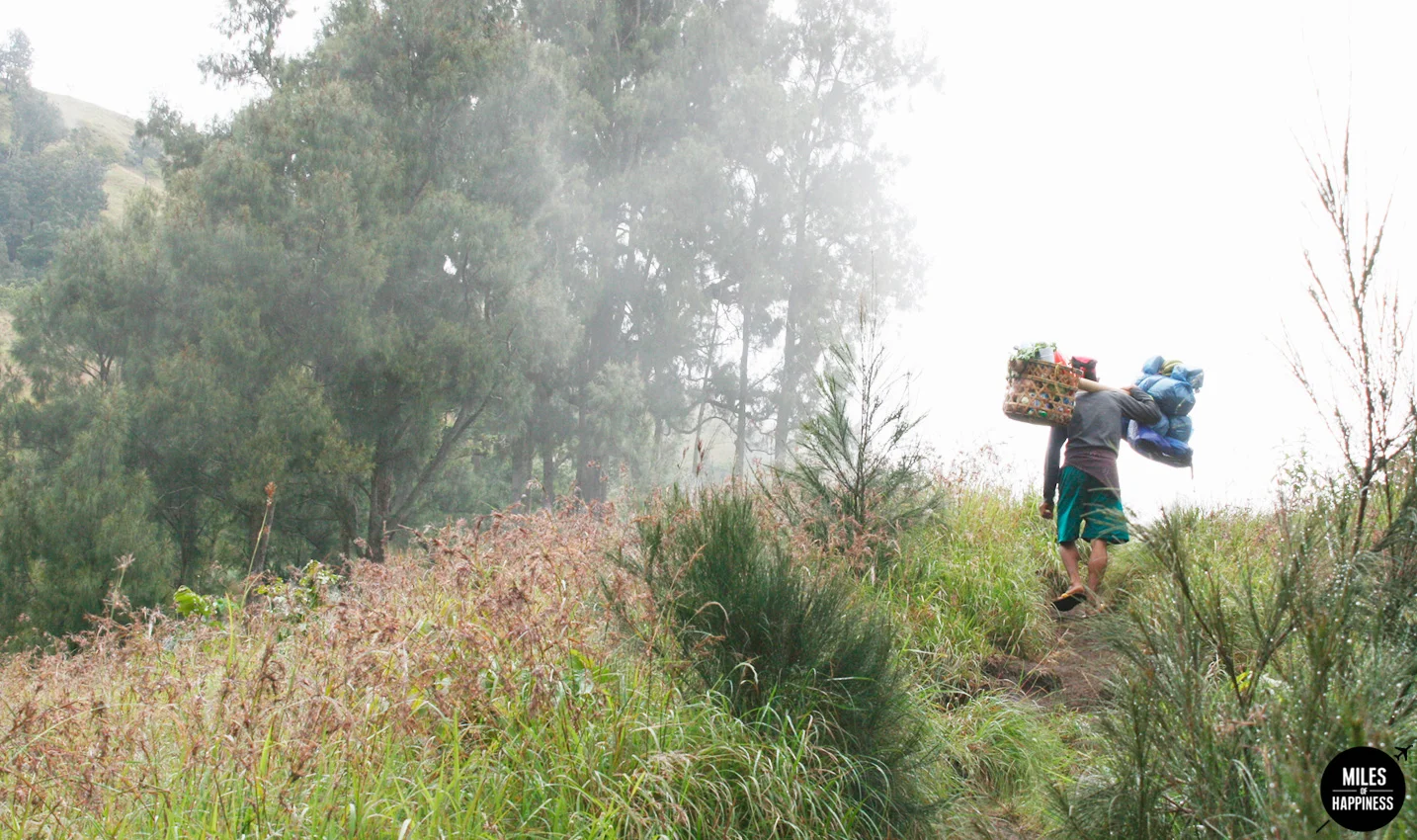 An epic volcano hike: trekking Mt Rinjani