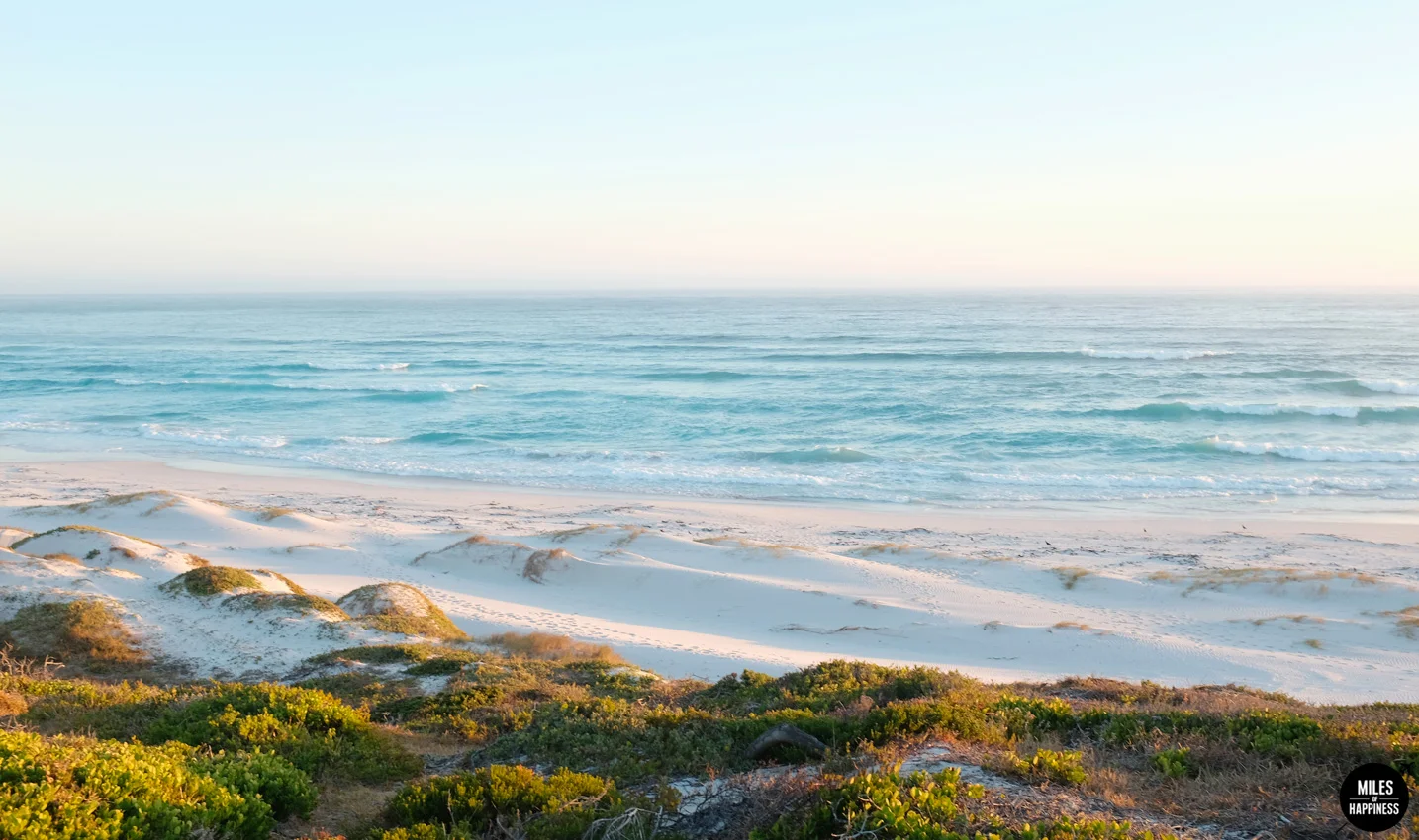 10 Things to do in Cape Peninsula