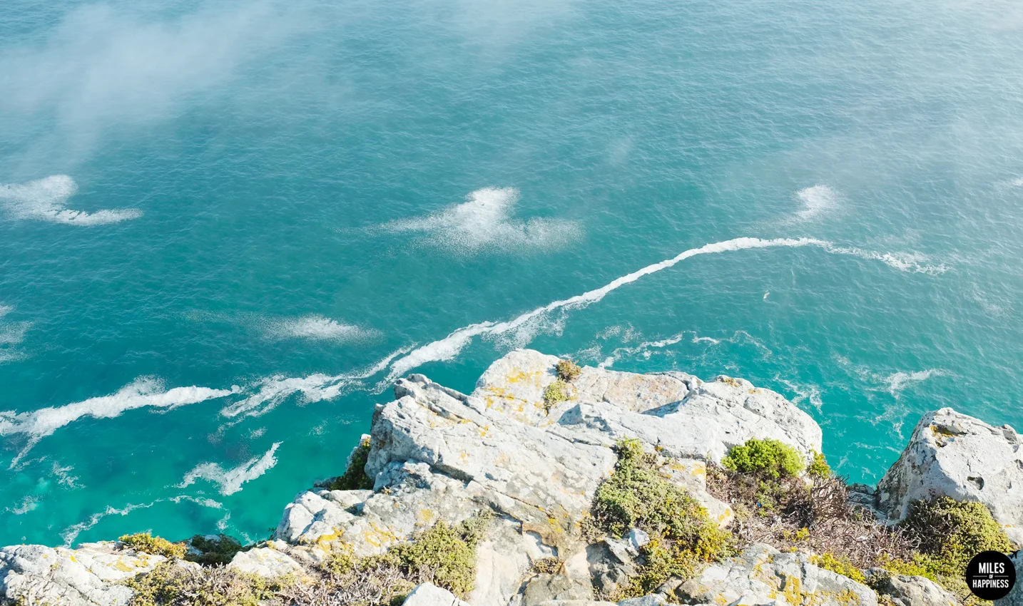 10 Things to do in Cape Peninsula