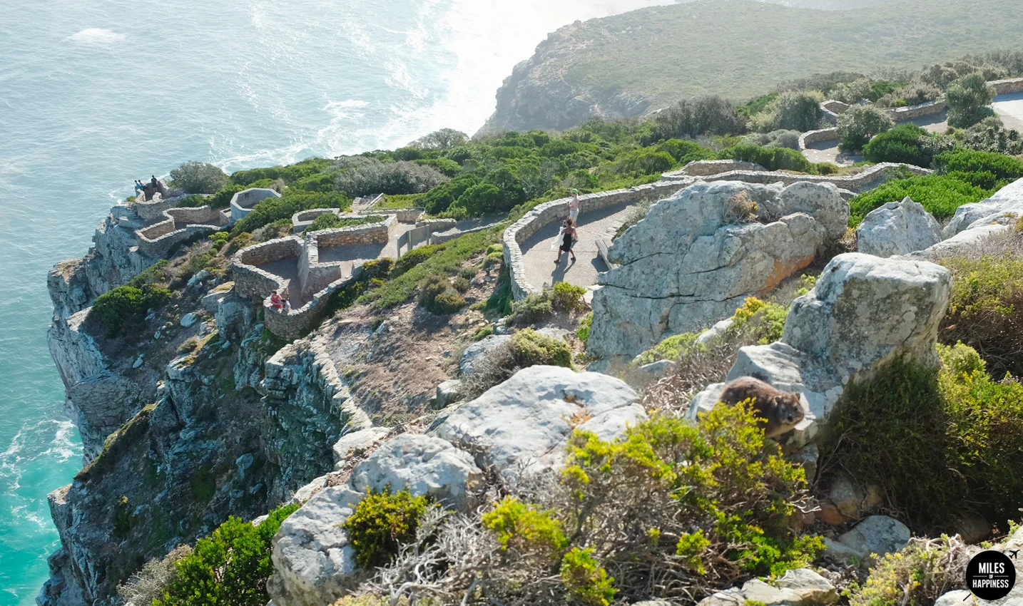10 Things to do in Cape Peninsula