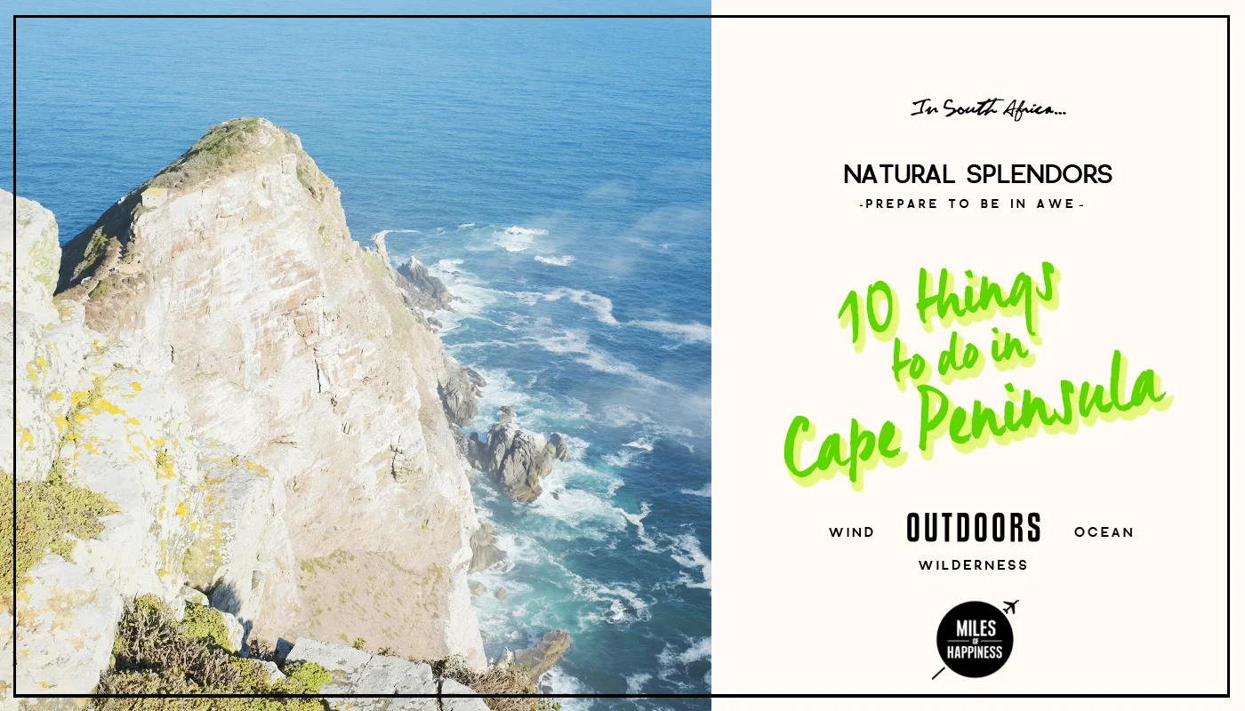 10 Things to do in Cape Peninsula