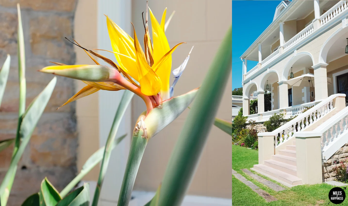 Luxury in Cape Town: Ellerman House