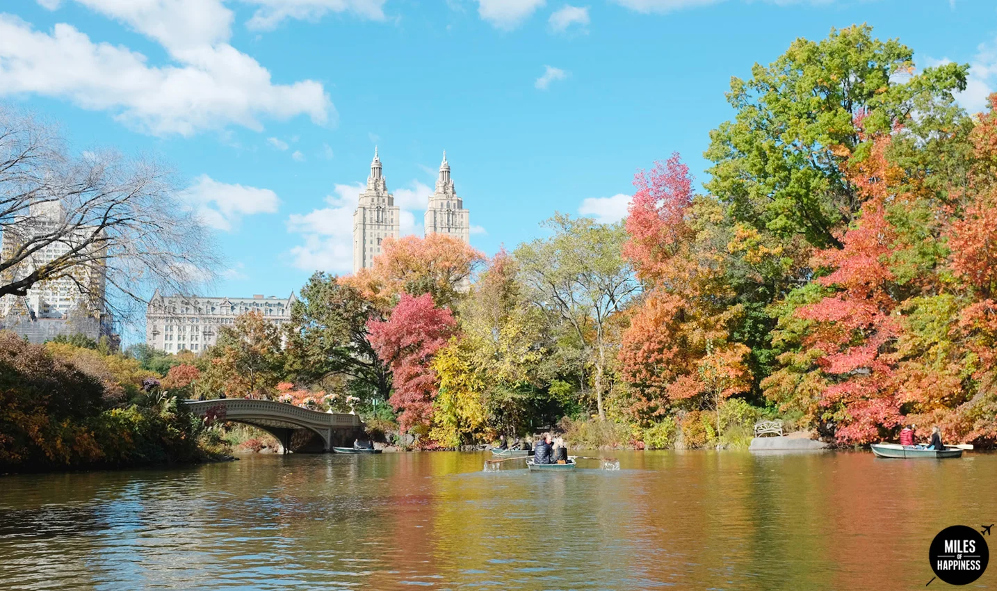 Things to do in Central Park