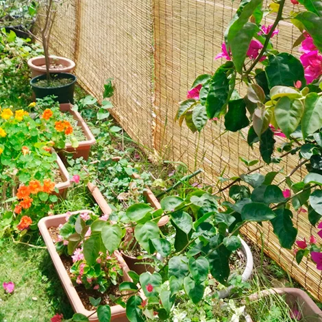 Island hopping in Okinawa: A Guide to the Kerama Islands