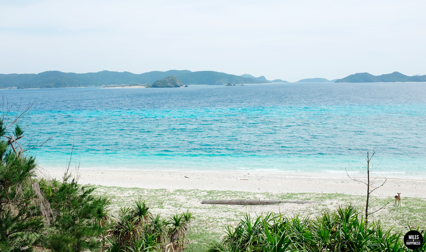 Island hopping in Okinawa: A Guide to the Kerama Islands