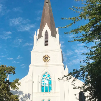 Where to stay in Stellenbosch : Absolute Bosch Guest House