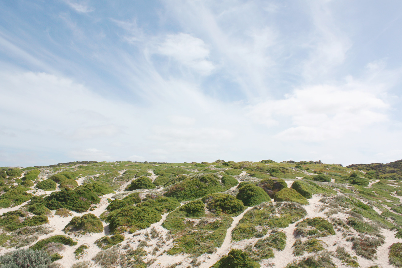 Into the wild Australia : A Guide to Kangaroo Island