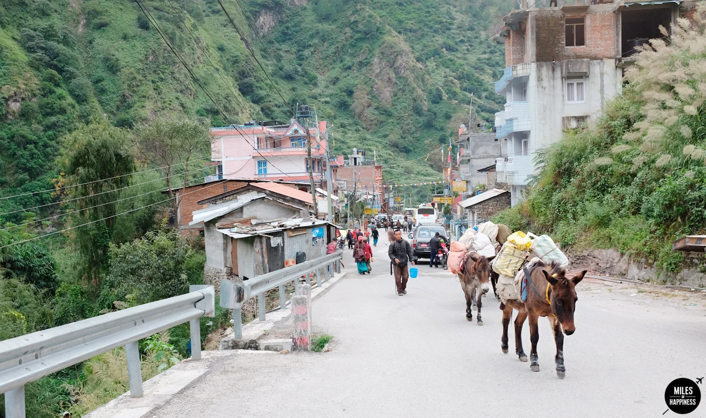 Trekking in the Himalayas: Langtang Valley