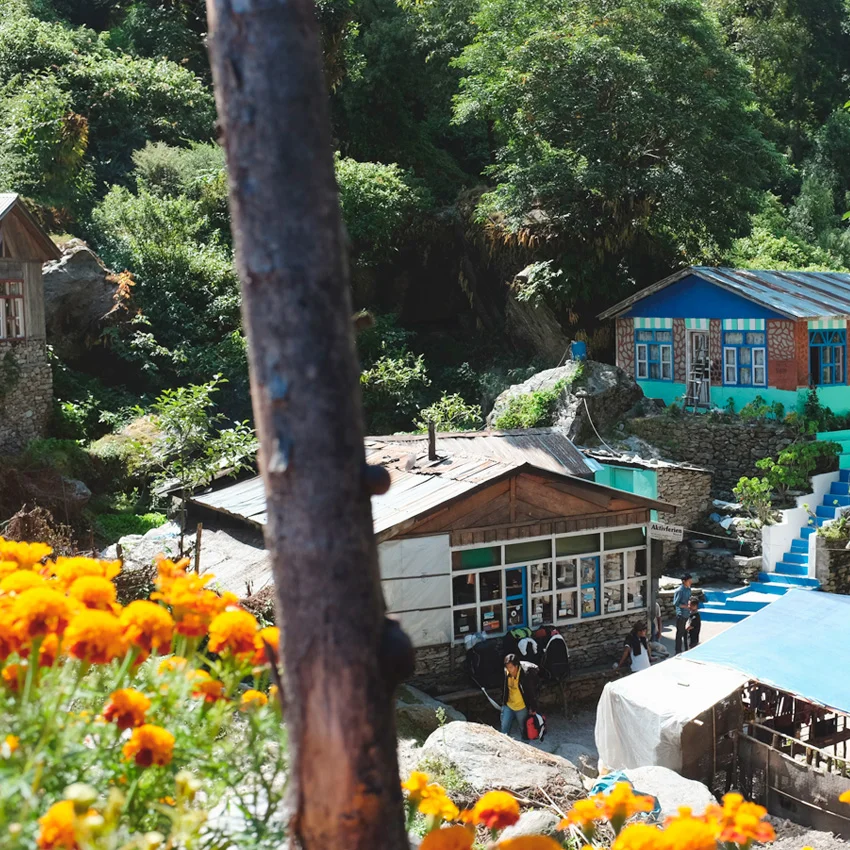 Trekking in the Himalayas: Langtang Valley