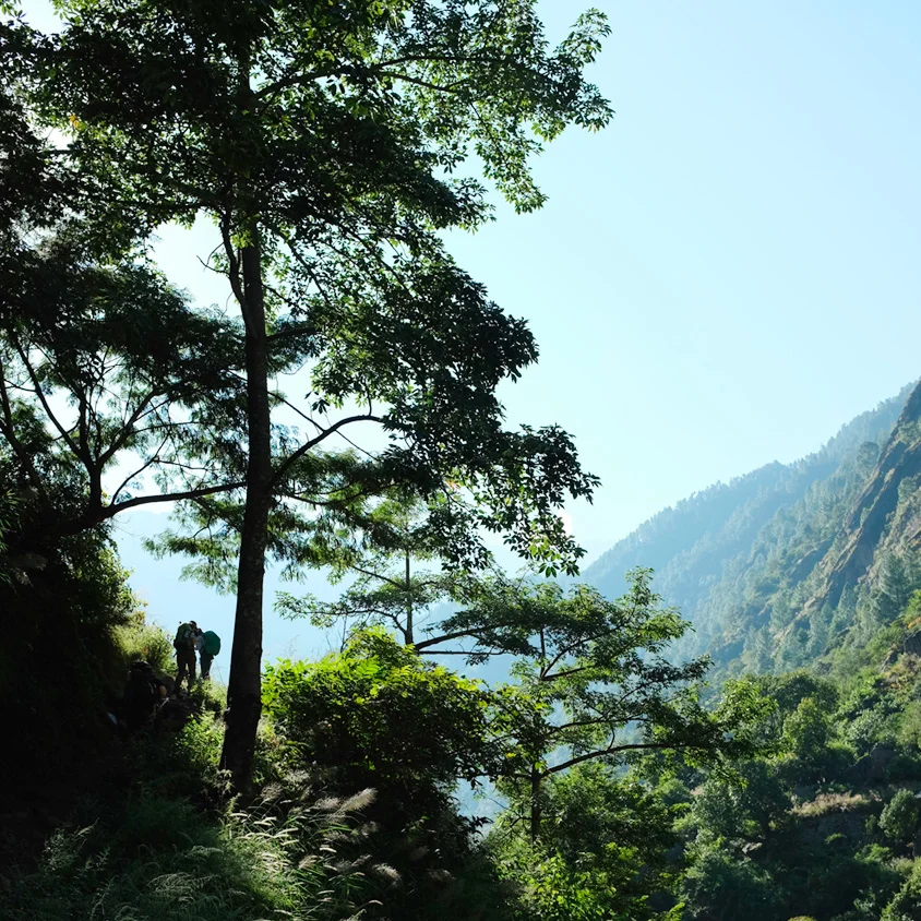 Trekking in the Himalayas: Langtang Valley