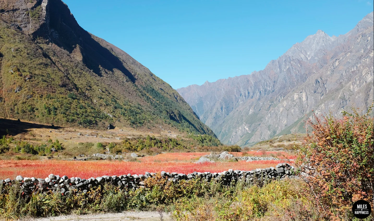 Trekking in the Himalayas: Langtang Valley