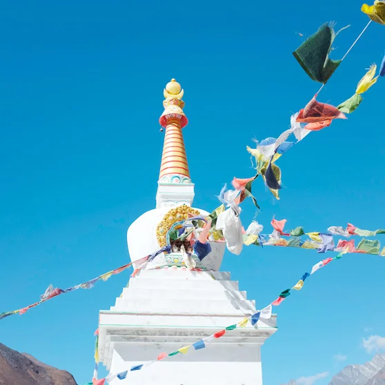 Trekking in the Himalayas: Langtang Valley