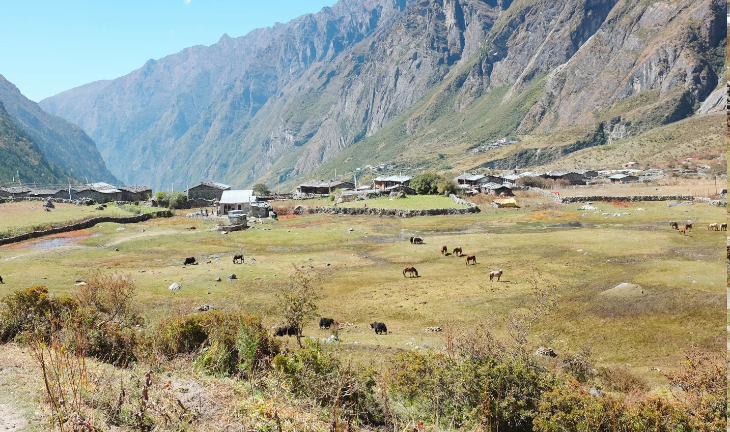 Trekking in the Himalayas: Langtang Valley