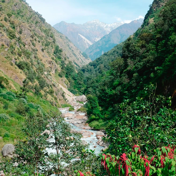 Trekking in the Himalayas: Langtang Valley