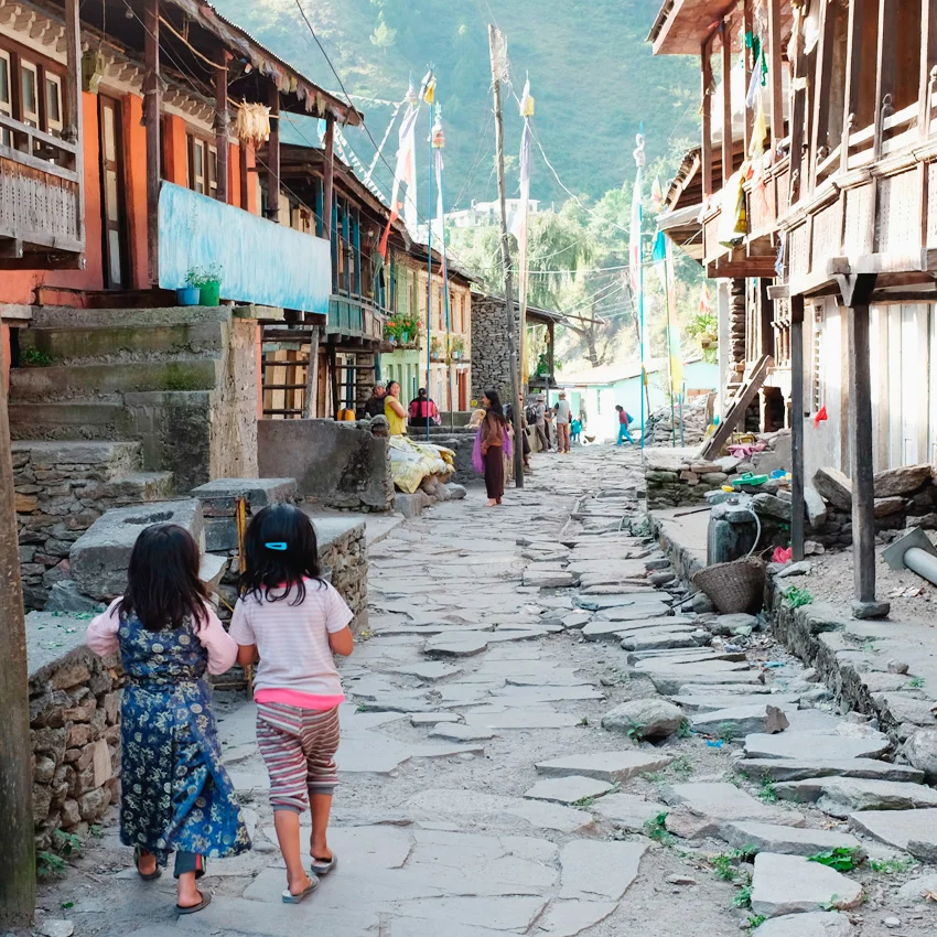 Trekking in the Himalayas: Langtang Valley