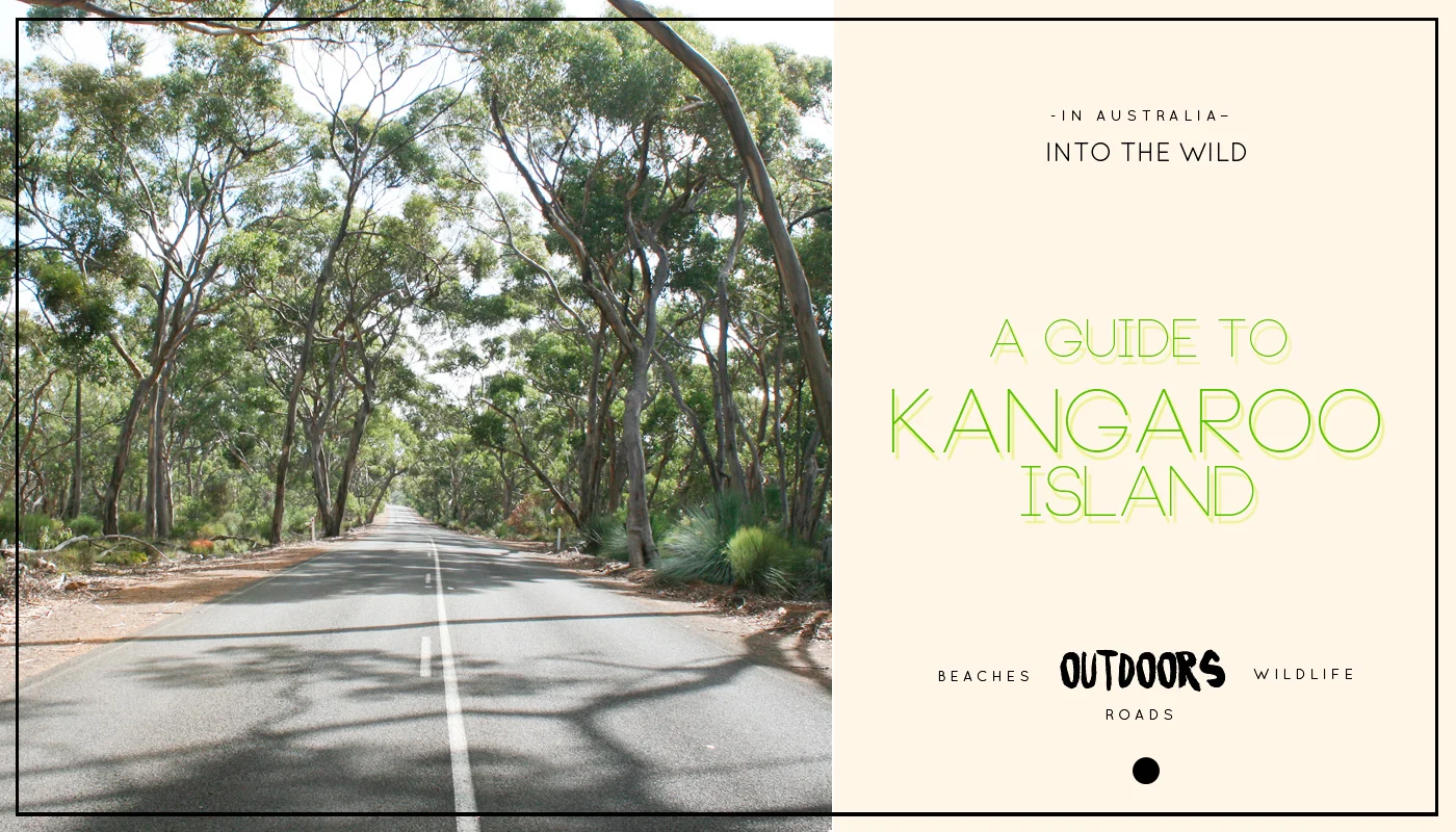 Into the wild: A Guide to Kangaroo Island
