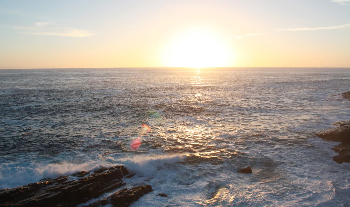 Into the wild: A Guide to Kangaroo Island