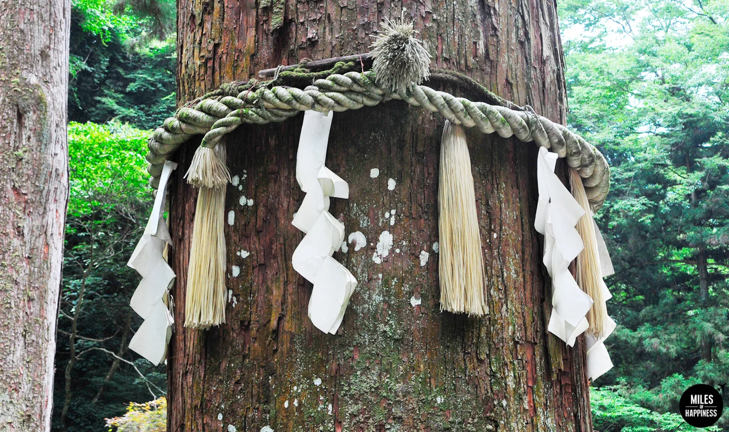 Falling in love with Japan: 10 Things to do in Kyoto