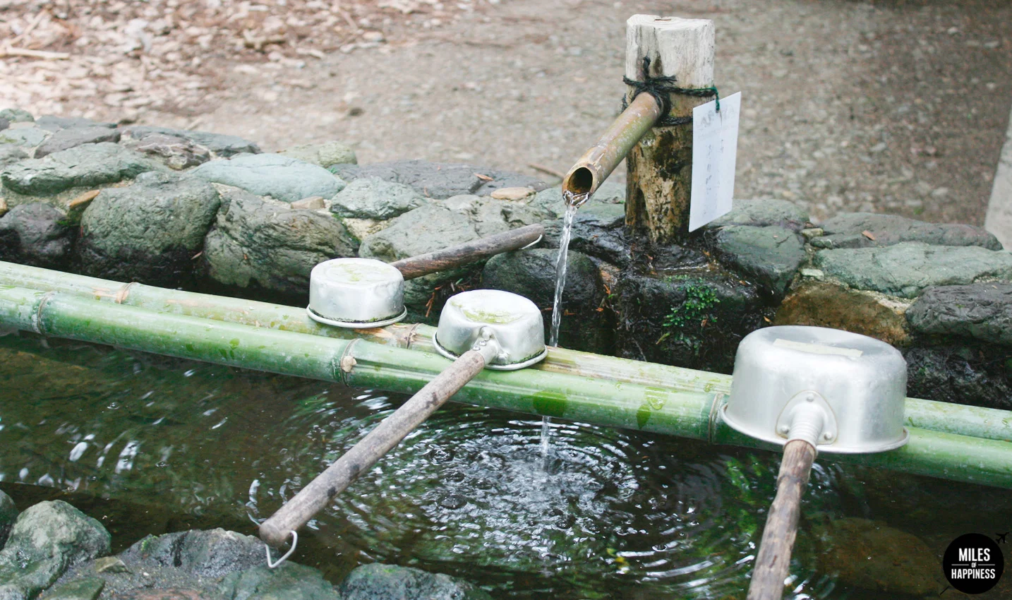 Falling in love with Japan: 10 Things to do in Kyoto