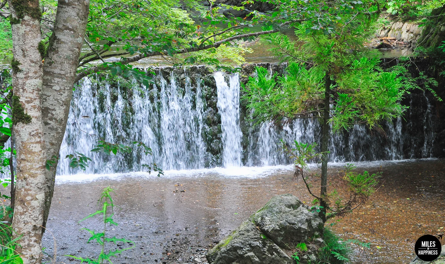 Falling in love with Japan: 10 Things to do in Kyoto