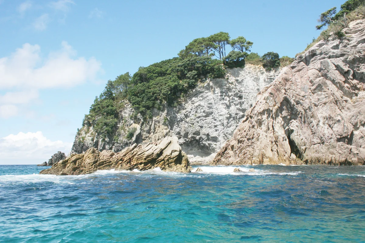 Itinerary of a Road Trip in the Coromandel Peninsula