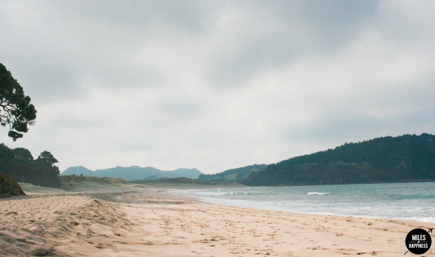 New Zealand: Itinerary of a road trip in the Coromandel Peninsula